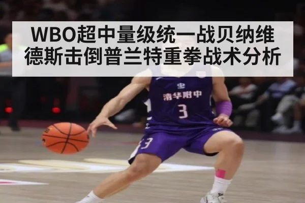 WBO超中量级统一战贝纳维德斯击倒普兰特重拳战术分析