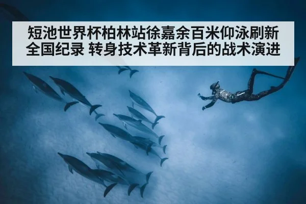 短池世界杯柏林站徐嘉余百米仰泳刷新全国纪录 转身技术革新背后的战术演进
